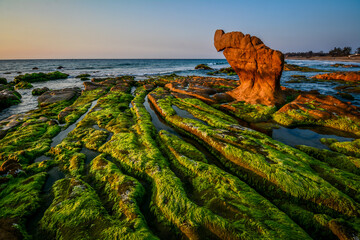 Beautiful rocky and mossy green beach at sunrise