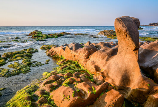 Beautiful rocky and mossy green beach at sunrise - Powered by Adobe