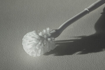 A white toilet brush is lying on the floor.