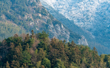 Forests and snow-capped mountains