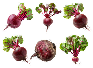 Set of Fresh red beetroot with its green leaves isolated against a white background