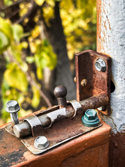 Rusty latch on a gate surrounded by autumn leaves.