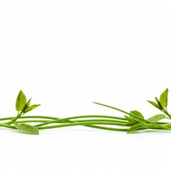 Natural composition featuring green stems and leaves against a white background, creating an empty space ready for growth or design element insertion, minimalist, simplicity, copy