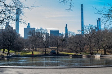 Winter scene in Central Park New York City with bare tree branches framing tall Manhattan skyscrapers under a clear blue sky showing urban contrast seasonal calm and iconic city park scenery