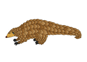 Scaly Anteaters Vector Image  
