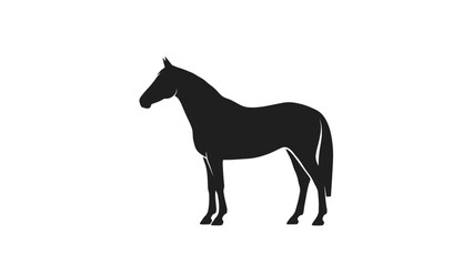 Fototapeta premium Silhouette of a standing horse facing left in black.