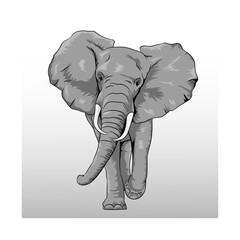 Elephant Vector Image  
