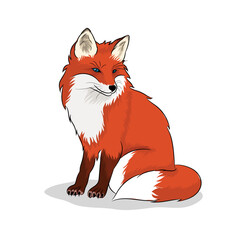 Red Fox Vector Image  
