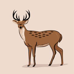 Triceratops Vector Image  
