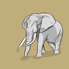 Elephant Vector Image  
