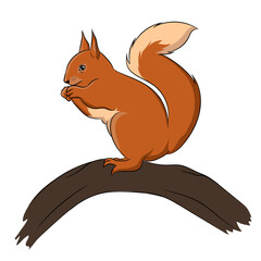 Squirrel Vector Image 
