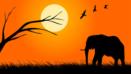 Forest Scenery Vector  
