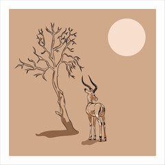 Image Of Deer Vector Image  
