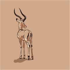 Deer Vector  Illustration  
