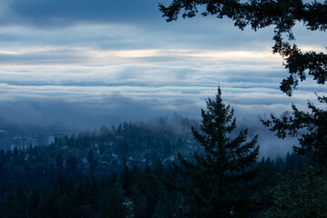 Downtown Portland, Oregon, USA skyline seen from Pittock Mansion viewpoint on a gloomy cloudy morning, with forested hills in the foreground and city buildings fading into atmospheric haze.