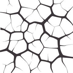 Contrast black and polygonal cracked texture pattern cracks geometric