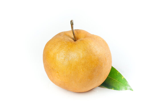 Fresh Golden Pear from Laiyang Shandong China