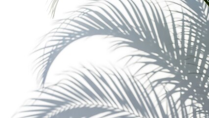 A blank white vertical poster mockup featuring realistic window sunlight shadows on a minimalist gray wall for professional designs