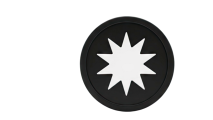 White Starburst on Black Circle