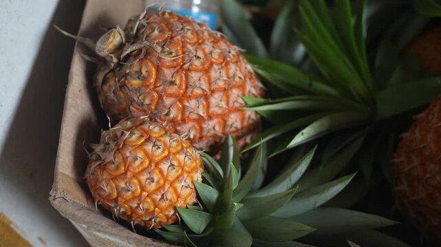 Ripe pineapples in a basket.
