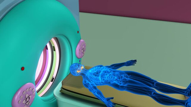 Human glands anatomy with CT scan. 3d render