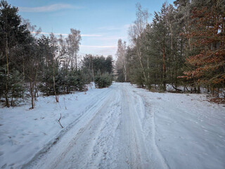Obraz premium Winter and snow on the small Grabia River, Poland.
