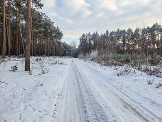 Obraz premium Winter and snow on the small Grabia River, Poland.