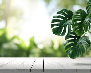 White wood planks, lush green tropical foliage backdrop