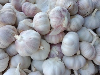 Garlic pile displayed in order on vendor's. Allium sativum pile displayed in order on vendor's.Garlic white pattern background 