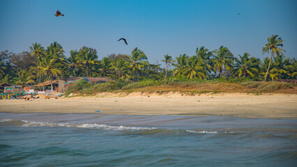 an ocean beach in the Indian state of Goa