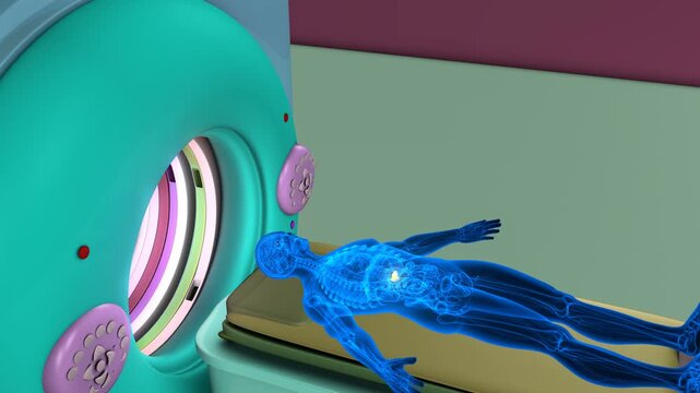 Male gallbladder with CT scan anatomy. 3d illustration