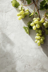Bunch of fresh green grapes on white textured concrete background