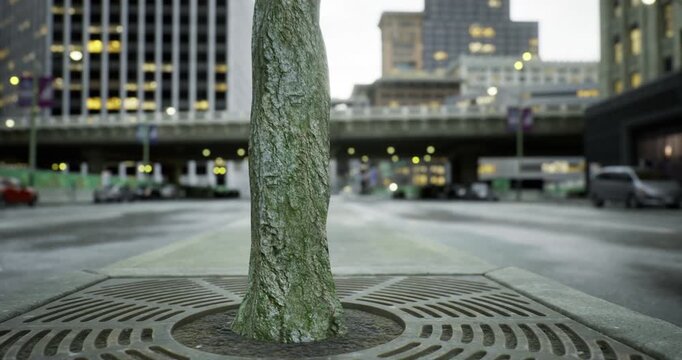 A solitary tree stands resilient in a bustling city, its trunk emerging from a metal grate surrounded by smooth asphalt. The urban backdrop features blurred traffic and twinkling lights.