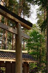 wooden signpost in the forest