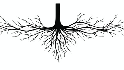 Obraz premium Intricate network of tree roots spreading outwards on a white background