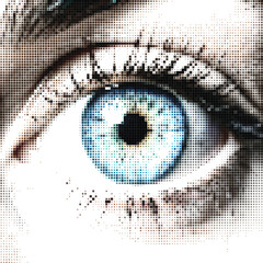 Human Eye Close Up Detail