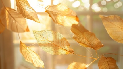 Golden Autumn Leaves Backlit by Warm Sunlight near Window, Macro Detail of Leaf Veins