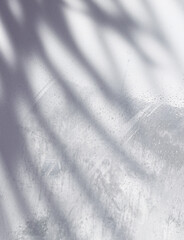 winter image background