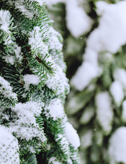 winter image background