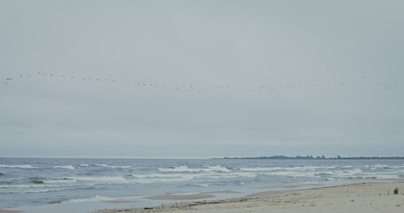 A flock of birds flies over the sea with a sandy beach