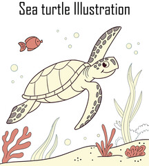Turtle Illustration