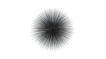 Black spiky starburst abstract graphic