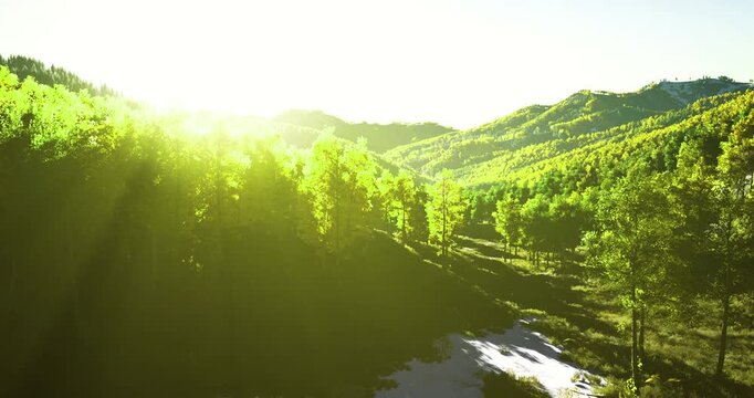 Golden sunlight spills over lush green hills, illuminating a forested landscape. Trees stand tall, their leaves glistening, while the gentle slope invites tranquility and exploration.