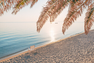 Empty beach chair under a palm tree at a sandy seaside coast in summer morning, Polychrono in Greece