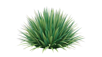 Fototapeta premium Lush green grass bush isolated on white background