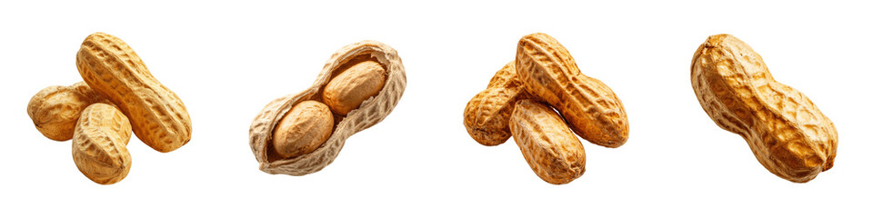 Roasted peanuts in shell and cracked open set isolated on PNG transparent background