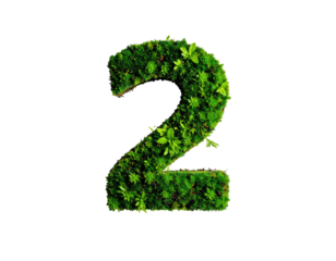 Mossy number two on solid dark background