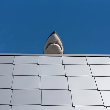 requin, sud, m&eacute;diterran&eacute;e, aquarium, d&eacute;coratif 