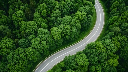 Aerial view of a winding road through a dense forest