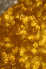 Christmas background. Festive abstract background with bokeh defocused lights and stars